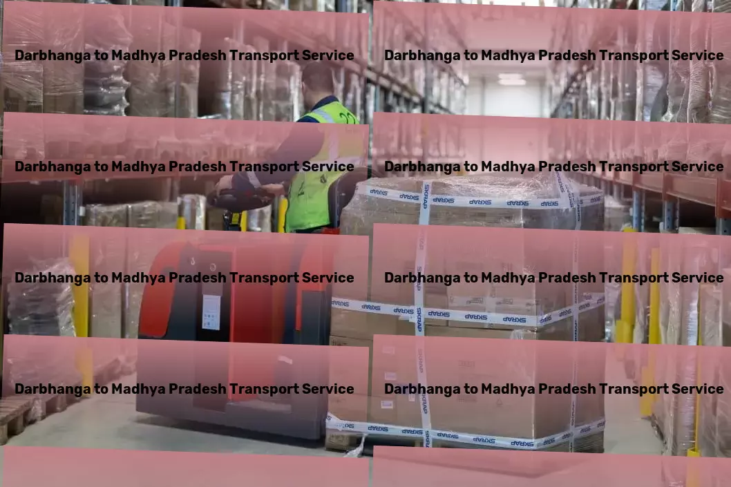 Darbhanga to Madhya Pradesh Transport Express logistics operations