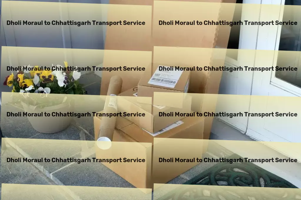 Dholi Moraul to Chhattisgarh Transport Specialized household logistics