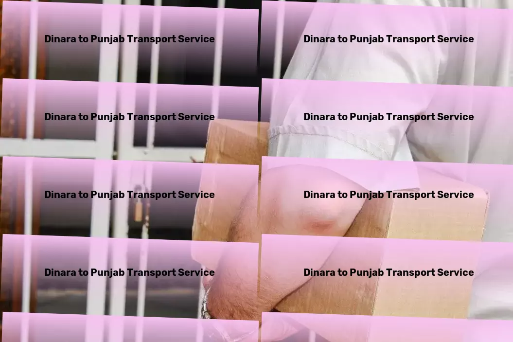 Dinara to Punjab Transport Heavy equipment transportation