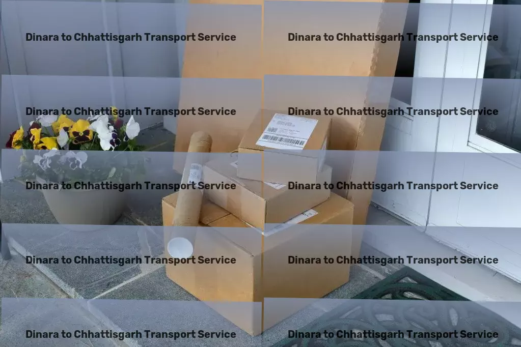 Dinara to Chhattisgarh Transport City-to-city goods logistics