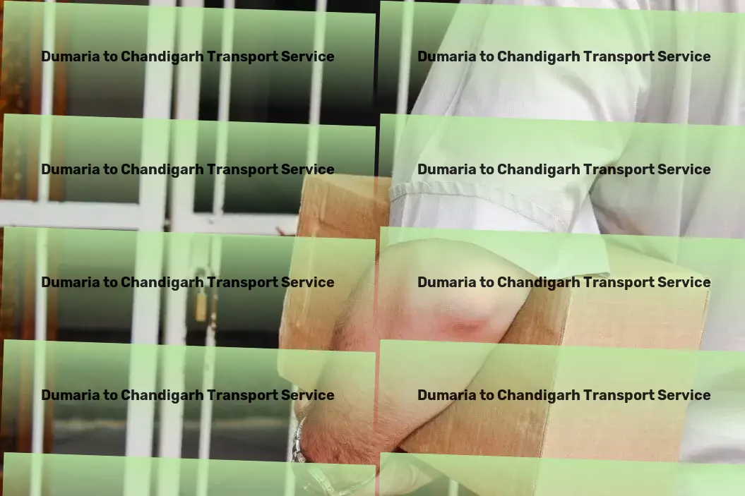 Dumaria to Chandigarh Transport High-speed goods shipment solutions