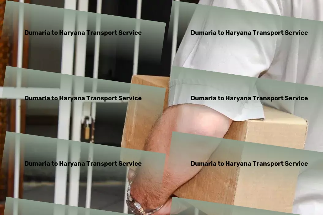 Dumaria to Haryana Transport Custom logistics solutions