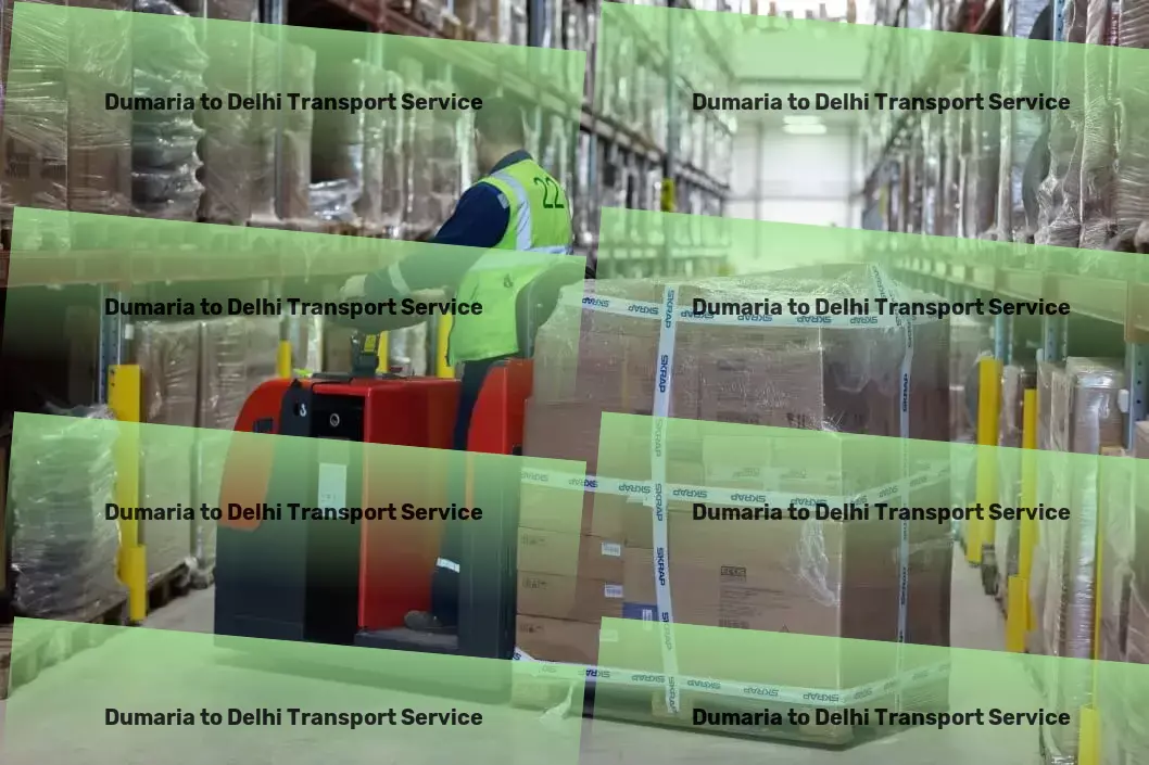 Dumaria to Delhi Transport Efficient parcel freight