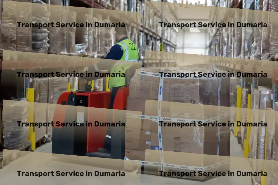 Courier And Parcel in Dumaria, Bihar (BR) Major transport services