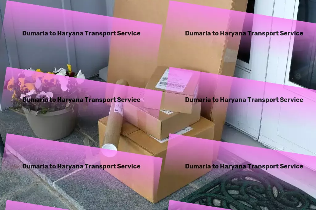 Dumaria to Haryana Transport Discover the ultimate tool for professional success! - Rapid goods dispatch