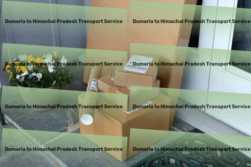 Dumaria to Himachal Pradesh Transport Transport logistics