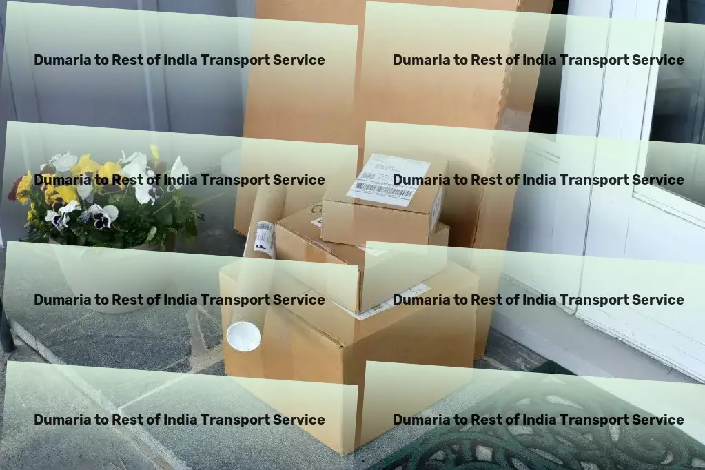 Dumaria to Rest Of India Transport Furniture logistics solutions